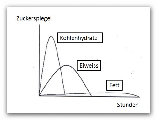 Das Abnehmen in der LIPOCLINIC: Wir empfehlen erprobte Konzepte zu einer langfristigen Nahrungsumstellung.