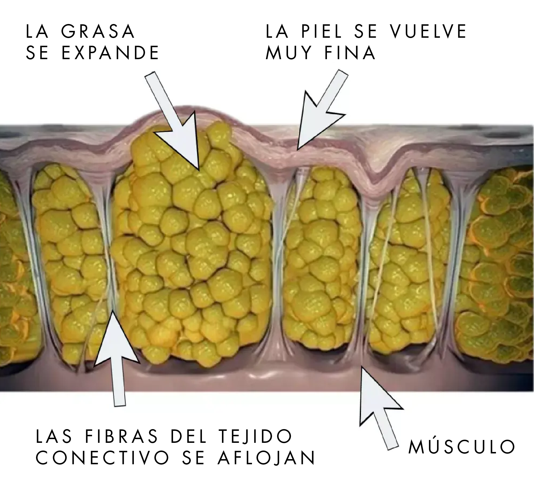 Cellu supercharged en Suiza