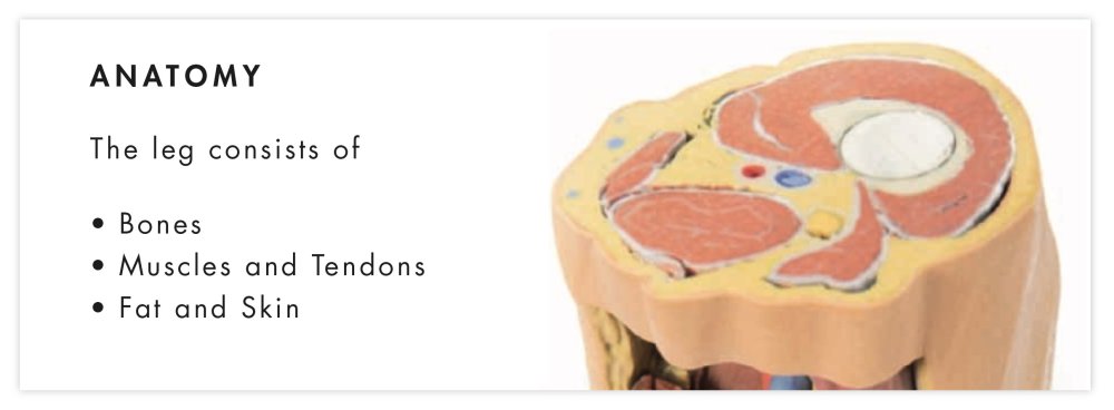 Anatomy of a Leg - Liposuction
